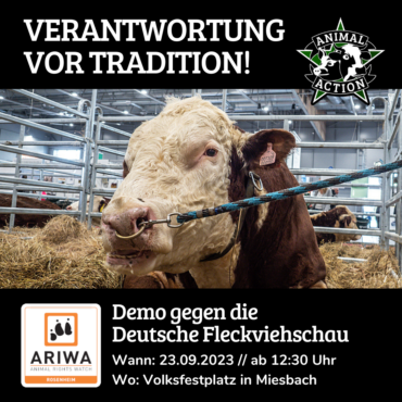 Termineinladung: Animal Rights Watch protestiert am Samstag gegen die Großveranstaltung “Deutsche Fleckviehschau” in Miesbach