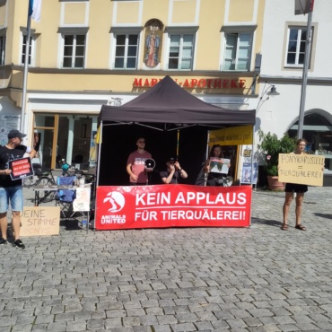 Gegen Ausbeutung von Ponys auf dem Rosenheimer Herbstfest – der Protest geht weiter