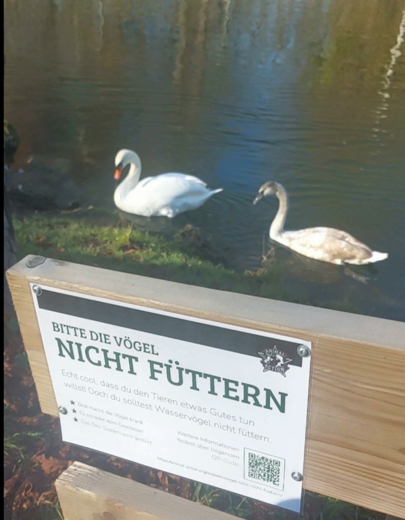 Schild am Mangfallkanal "Bitte die Vögel nicht füttern"