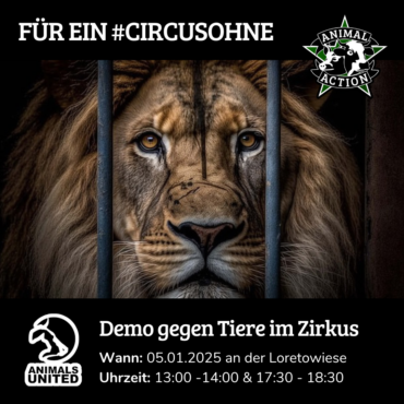 Kundgebung gegen Tiere im Zirkus